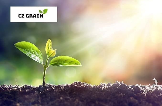 Daffodil Mix Bulbs for Planting - Easy to Grow Perennial Flowers for Garden or Containers (100 Bulbs)