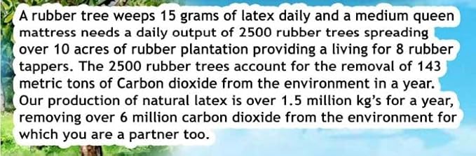 Dunlop Latex Mattress Topper - Soft - 3" - Twin