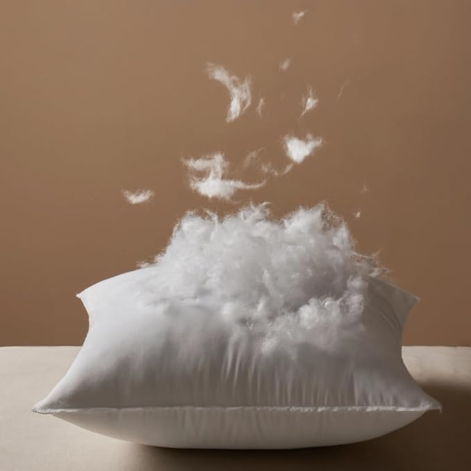 MIULEE 18x18 Pillow Inserts,Down Alternative Pack of 2 Decorative Throw Pillows for Sofa Couch Bed, Ultra Soft Fluffy Bed Sleeping Form