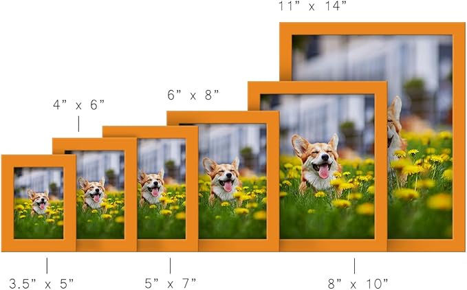Renditions Gallery 3.5x5 inch Picture Frame High-end Modern Style, Made of Solid Wood and High Definition Glass Ready for Wall and Tabletop Photo Display, Orange Frame