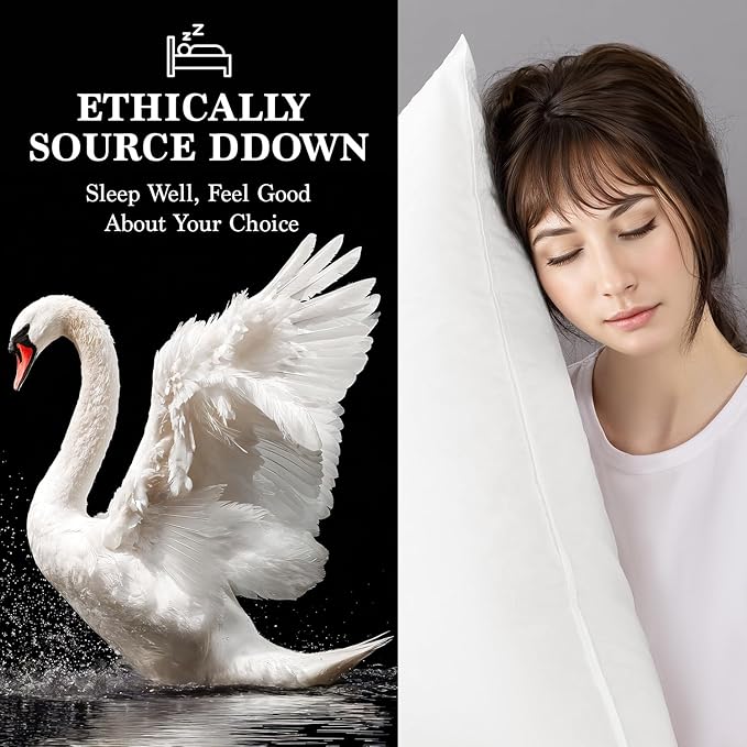 Shilucheng Goose Down and Feather Pillows Queen Size Set of 1 Pack, Luxury Hotel Quality Bed Pillows for Side Back Stomach Sleepers, Soft 100% Cotton Shell(White,20" x 30")
