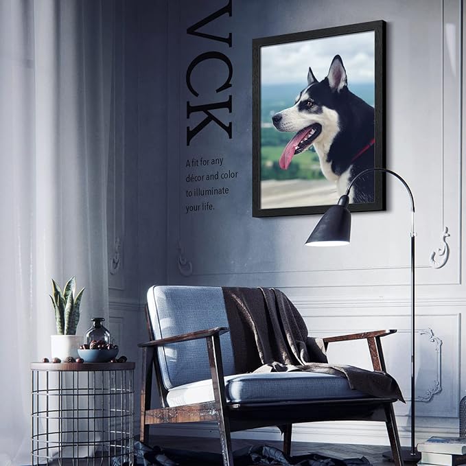 VCK 18x24 Poster Frame Set of 2 - Black, Textured Exclusive Solid Wood Picture Frames with Polished Plexiglass