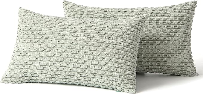 MIULEE Throw Pillow Covers Soft Corduroy Decorative Set of 2 Boho Striped Pillow Covers Pillowcases Farmhouse Home Decor for Couch Bed Sofa Living Room Spring 12x20 Inch Light Green