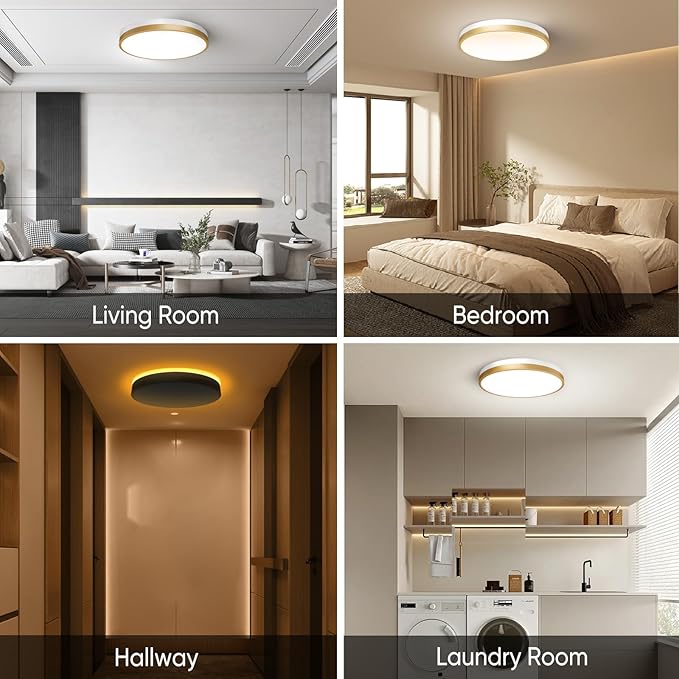 11 Inch Flush Mount Ceiling Light with Remote Control & Night Light, 5CCT Dimmable Ceiling Light Fixture, 20W 2000LM 2700K-6500K Adjustable LED Ceiling Lights for Bedroom Kitchen, White Gold