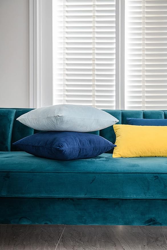 DEZENE Throw Pillow Cases 24x24 Light-Blue: 2 Pack Cozy Soft Velvet Square Decorative Pillow Covers for Farmhouse Home Decor