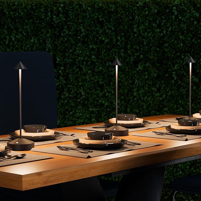 Rechargeable Table Lamp for Bedroom, 3-Level Dimmable Beside Touch Lamps Portable Battery-Operated Desk Light for Nightstand, Living Room, Dining, Office, Outdoor