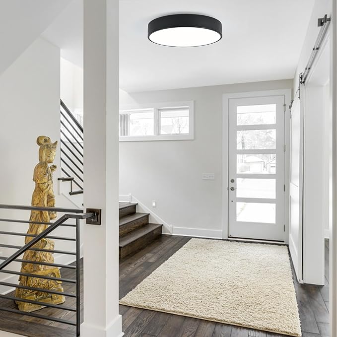 Modern Flush Mount Ceiling Light, 3-Lights Round Black Ceiling Light Fixtures, Minimalistic Ceiling Lamp Acrylic Shade Lighting Fixture for Bedroom Laundry Room Living Room Hallway(15.8")