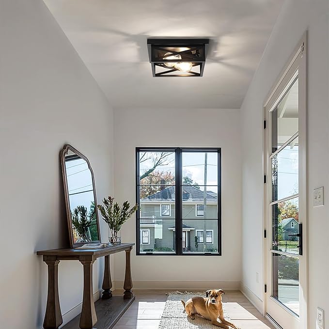 Black Rustic Metal Flush Mount Ceiling Light Fixture, 2-Light Industrial Farmhouse Hallway Light Fixtures, Metal Cage Closed to Ceiling Mounted Lights for Bedroom Kitchen Ceiling Lights