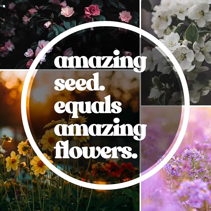 All Annual Wildflower Seeds Mix โ 1 lb, 16,000+ Seeds โ 21 Flower Varieties Including Poppy, Indian Blanket, Flax โ Attracts Pollinators โ Bulk Wildflower Seed for Planting