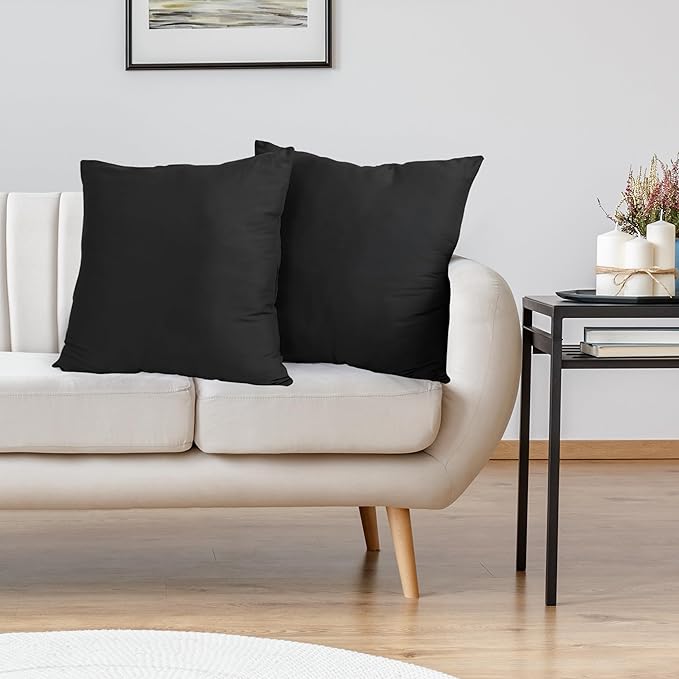 Utopia Bedding Throw Pillows Insert (Pack of 2, Black) - 24 x 24 Inches Bed and Couch Pillows - Indoor Decorative Pillow