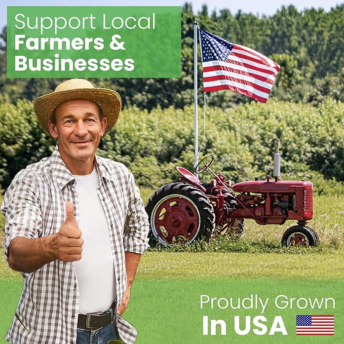 Bean Products WheatDreamz Neck Roll Pillow - Made in USA - Organic Cotton Zippered Shell with Organic Millet - 6" x 16"