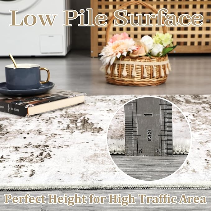 Area Rug 4x6 for Living Room Stain Resistant Carpet Modern Abstract Rugs Ultra Soft Indoor Floor Cover Accent Rug Low Pile Thin Machine Washable for Bedroom Dining Room, Taupe/Beige