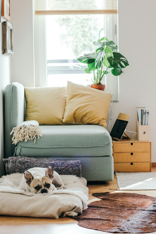 Maximizing Small Spaces: Home Decor Ideas for Compact Living