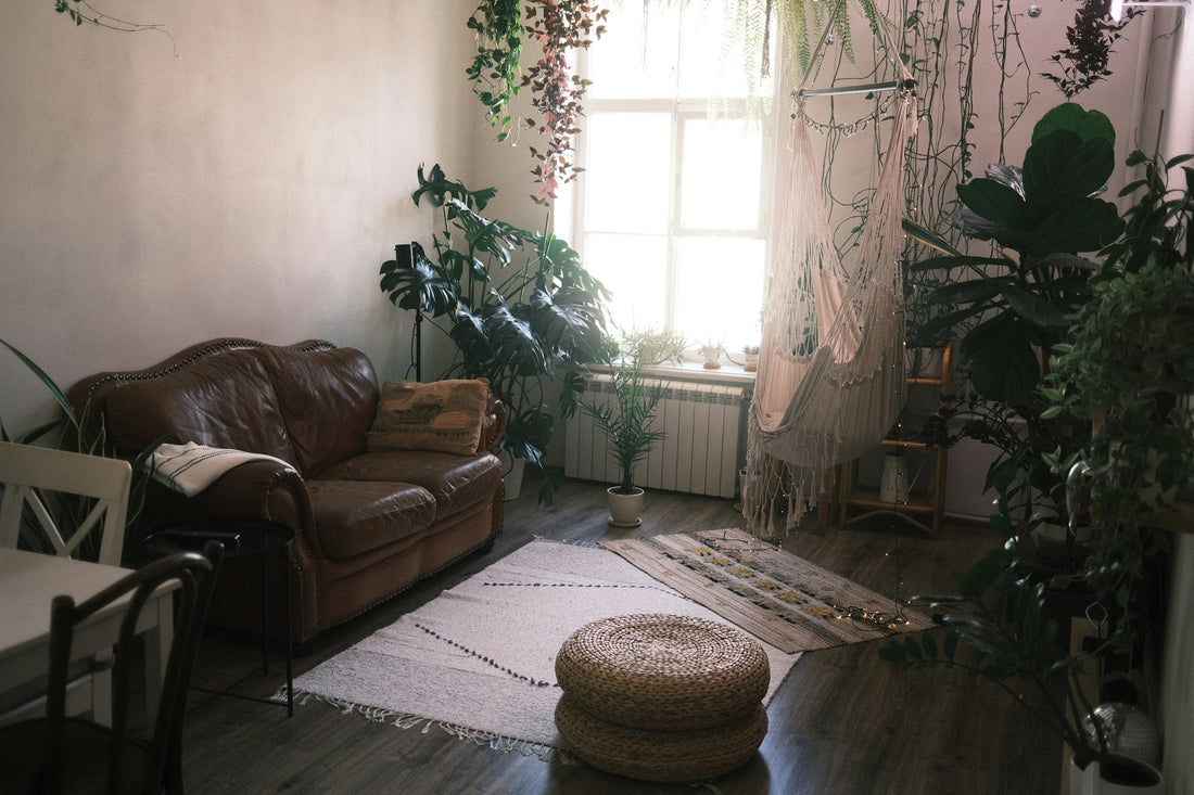 Transform Your Home with Sustainable and Eco-Friendly Decor