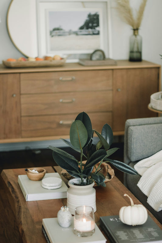 Home Decor for Small Spaces: Creating Comfort and Style Without Clutter