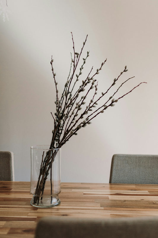 Minimalist Home Decor: How to Create a Clean and Timeless Space | LITTLE CHAPTER