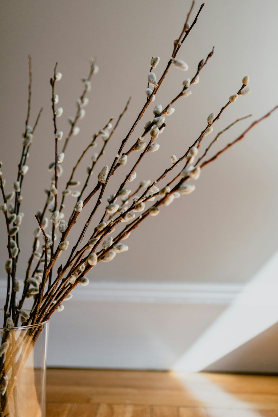 How Consistency in Home Decor Creates a Cohesive and Elegant Space