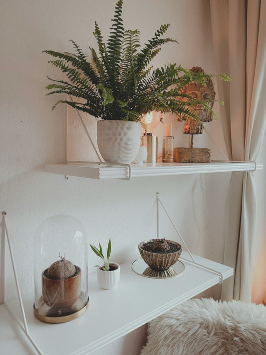 How to Keep a Cohesive Home Style Without Feeling Repetitive