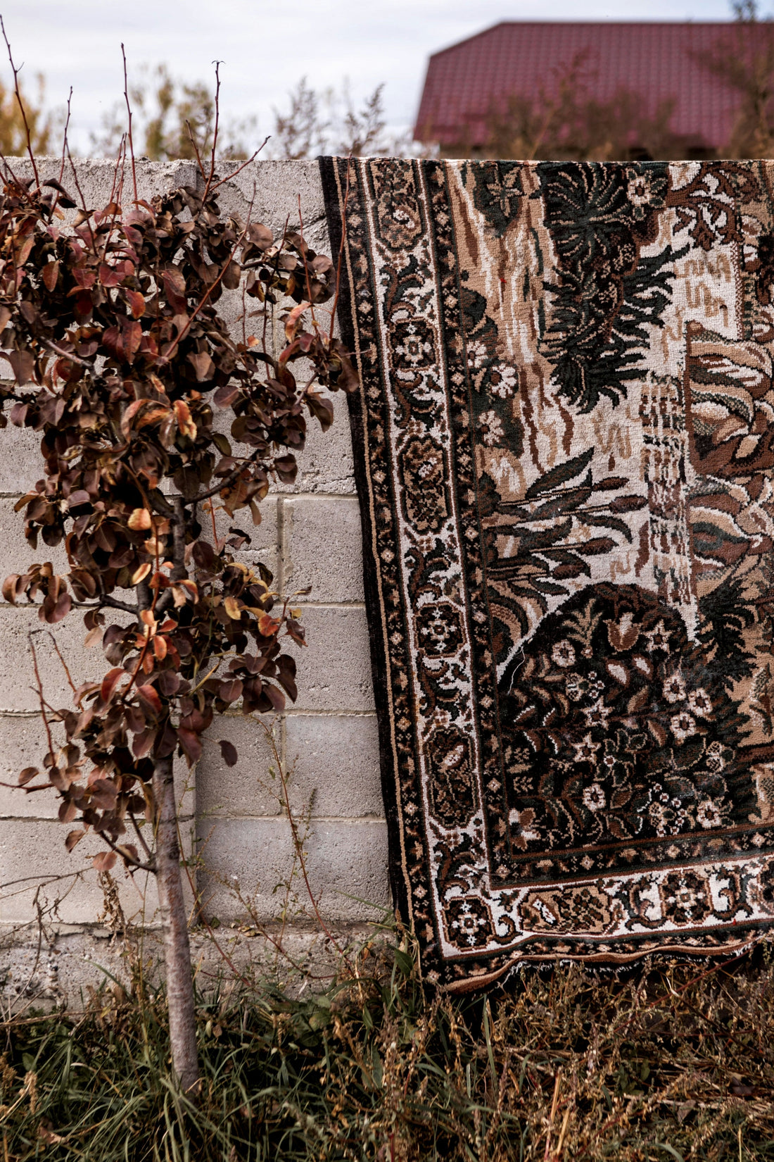 How to Choose the Perfect Rugs for Every Room