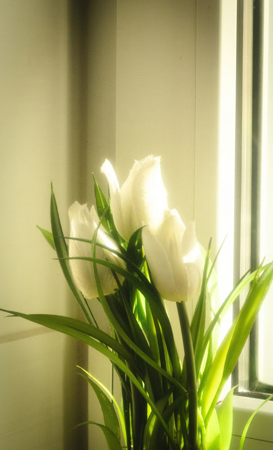 How Layering in Home Decor Creates Rich and Inviting Interiors