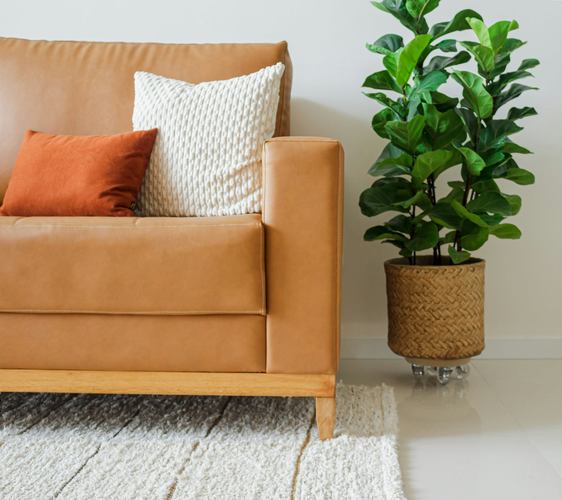 Living Room Styling Guide: Create a Space That Feels Both Elegant and Functional | LITTLE CHAPTER