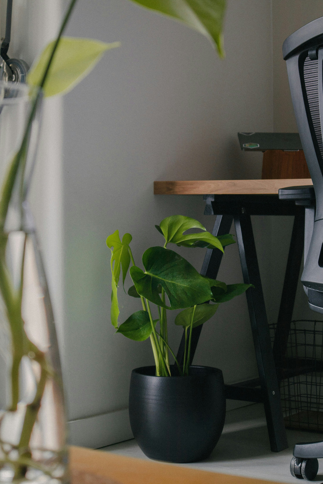 How to Create a Calm and Cozy Home Atmosphere Through Intentional Decor
