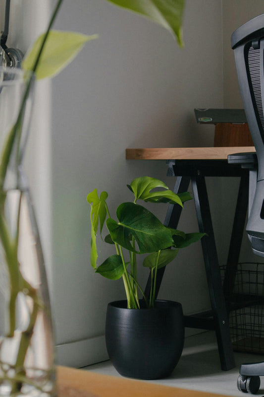 How to Create a Calm and Cozy Home Atmosphere Through Intentional Decor