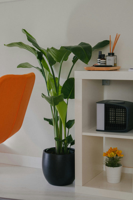 How Functional Layout Planning Improves Everyday Living at Home