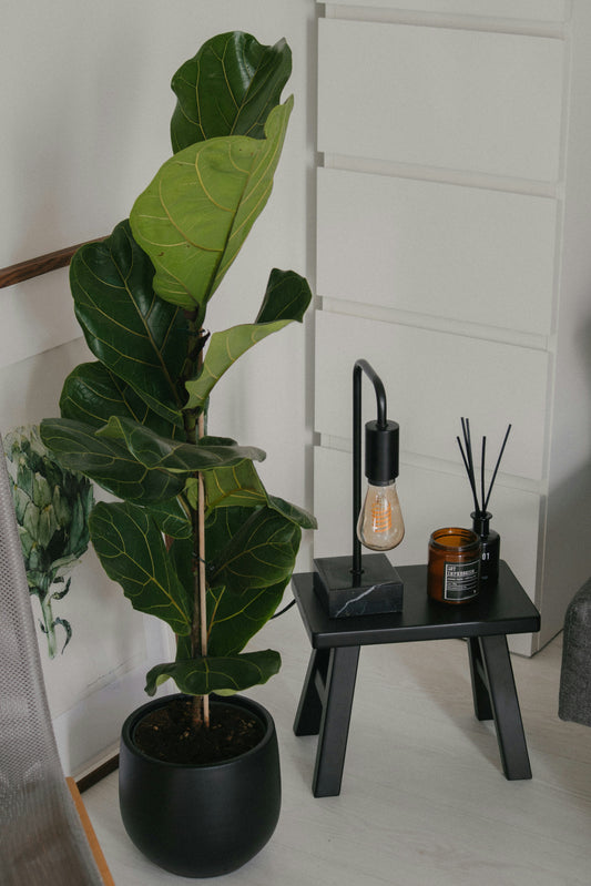 How to Create a Signature Home Style That Feels Uniquely Yours | LITTLE CHAPTER