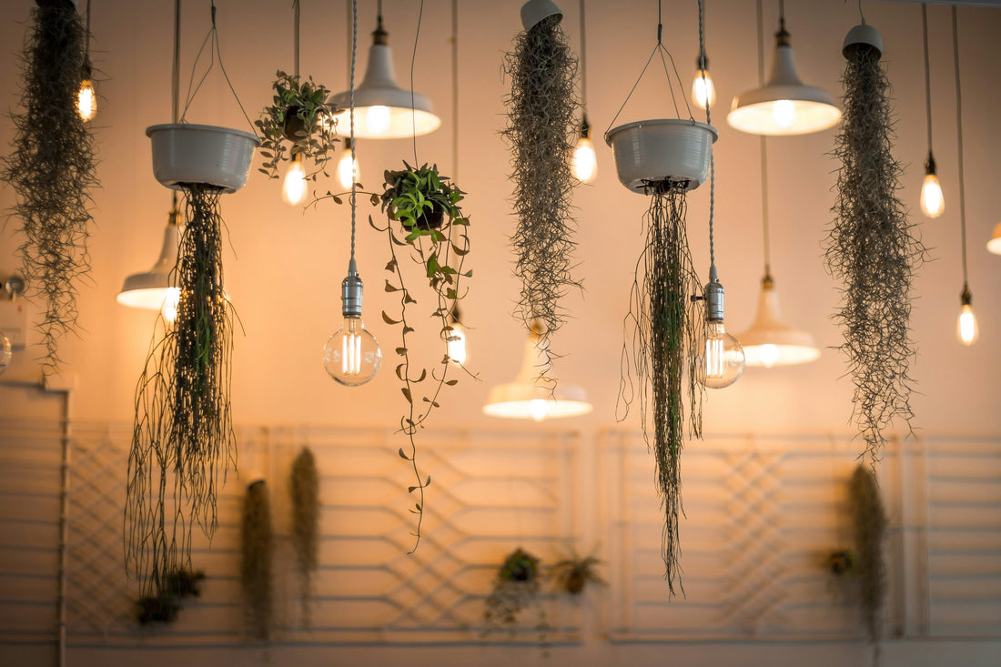 How to Use Lighting to Transform Your Home
