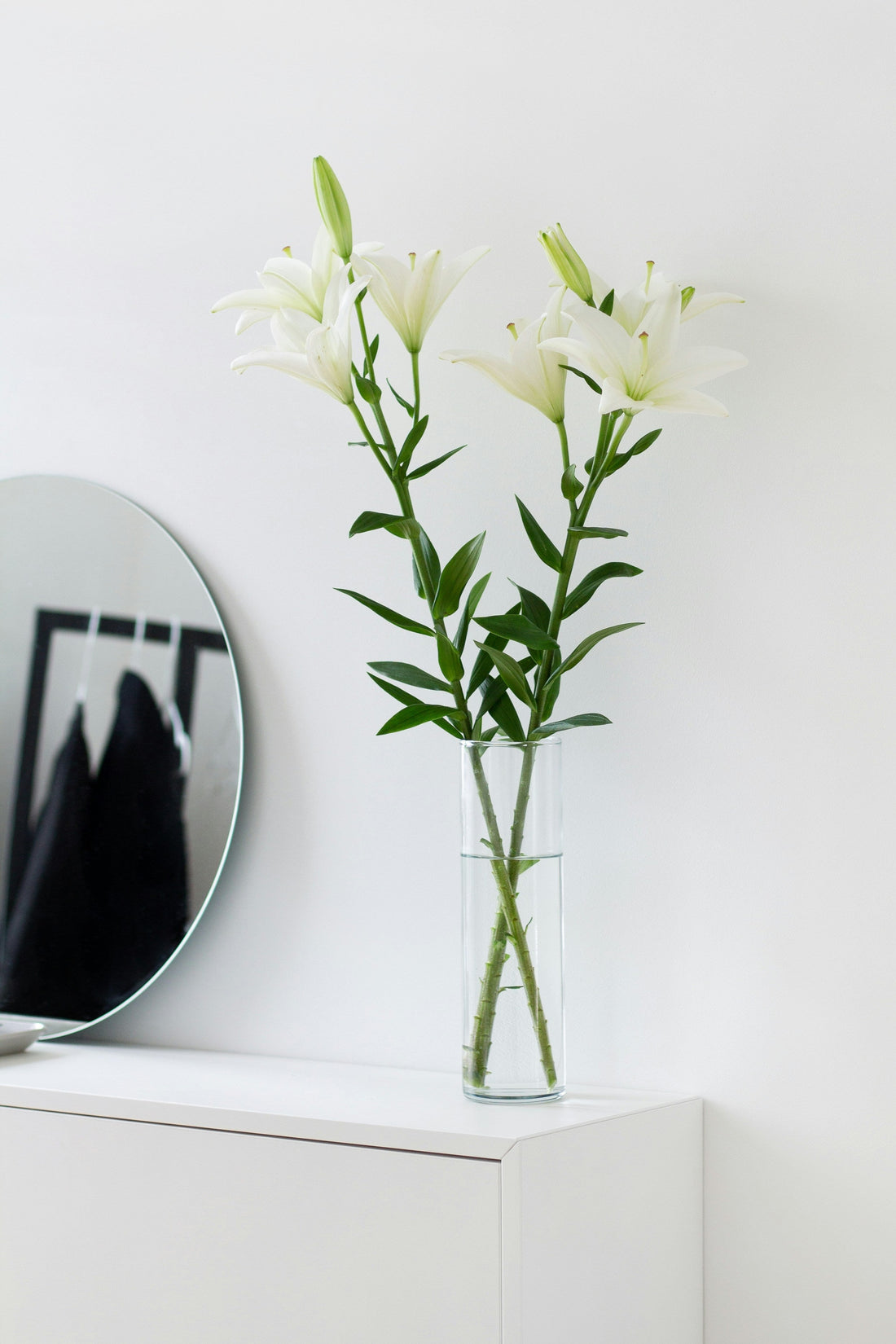 Dining Room Styling Guide: Create a Space for Connection and Elegance | LITTLE CHAPTER