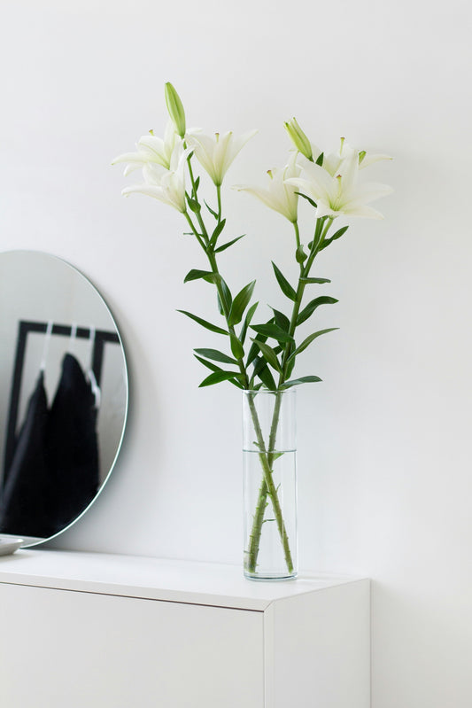 Dining Room Styling Guide: Create a Space for Connection and Elegance | LITTLE CHAPTER