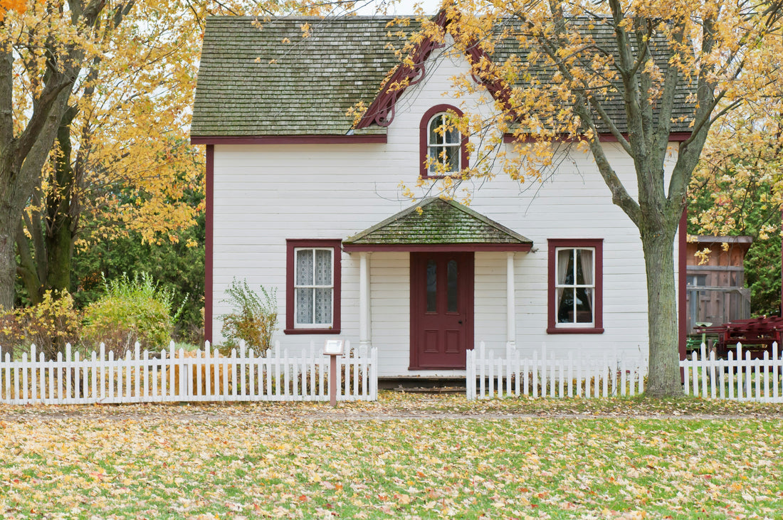 How to Choose Eco-Friendly Cleaning Tools for a Greener, Healthier Home