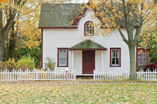How to Choose Eco-Friendly Cleaning Tools for a Greener, Healthier Home