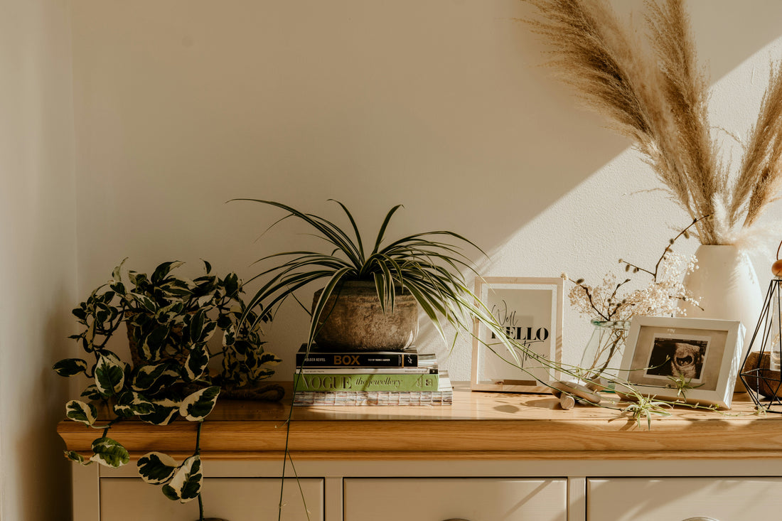 Thoughtful Home Decor for Slow Living and Intentional Spaces