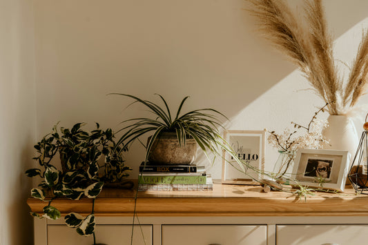 Thoughtful Home Decor for Slow Living and Intentional Spaces