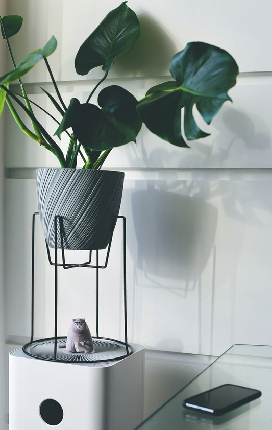 Embracing Seasonal Styling and Functional Living in Home Decor