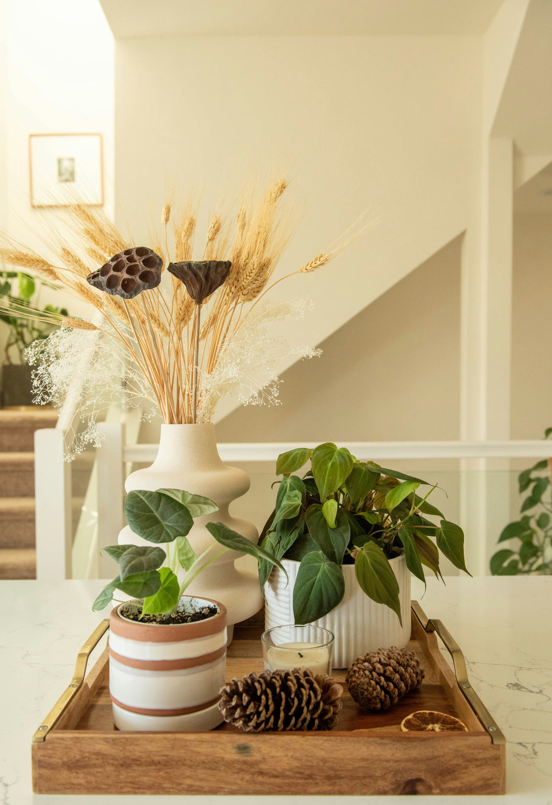 Seasonal Home Decor: Refresh Your Space All Year Round | LITTLE CHAPTER