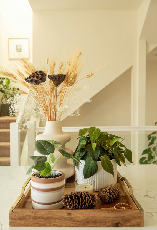 Seasonal Home Decor: Refresh Your Space All Year Round | LITTLE CHAPTER