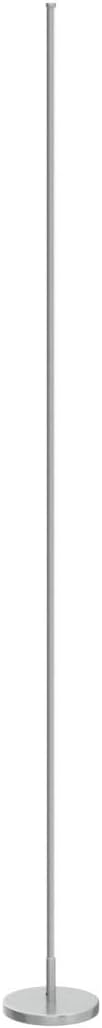 TACAHE Minimalist Corner Floor Lamp - 2700K-6500K Dimmable LED Night Light - Modern Standing Mood Lamp with Remote Control for Living Room, Bedroom - 57" 12W - Silver - 1Pack