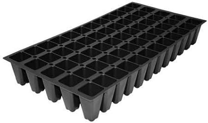 Frosty Fire Dianthus - 3 Live Plants - Dianthus Allwoodii - Fragrant Cold Hardy Groundcover