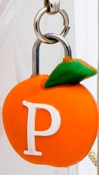 Night Sweats: The Original PeachSkinSheets 1500tc Soft Standard Pillowcase Set Classic White