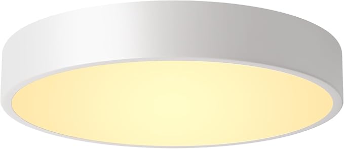 White Flush Mount Ceiling Light 12 inch LED Dimmable Ceiling Lamp 24W 5CCT(2700K-5000K) Bedroom Lamp Entryway Light Fixture for Bedroom Foyer Kitchen Entryway Closet Hallway