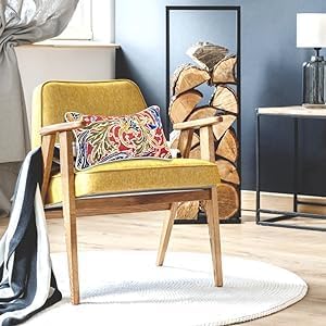 JMGBird Outdoor Lumbar Pillows Set of 2 with PP Cotton Fill for Patio Furniture Decorative Pillows 12x20 Inch