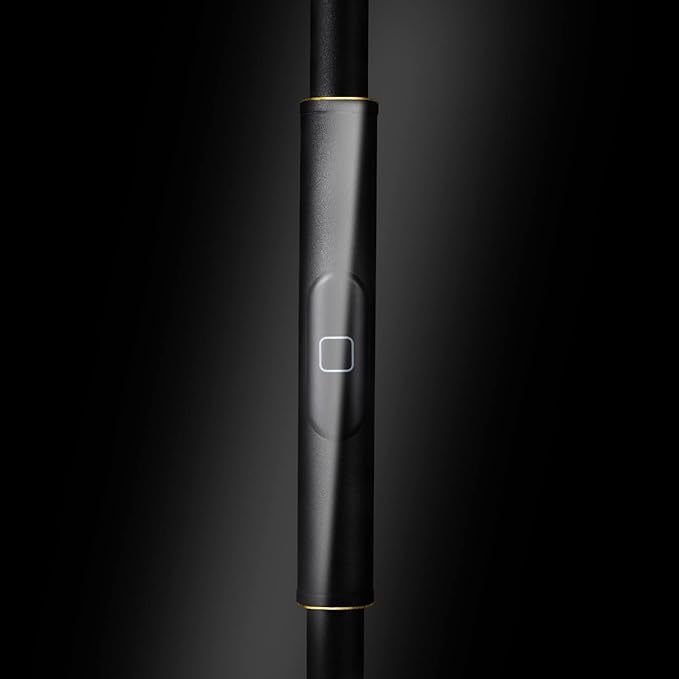 JOOFO Floor Lamp,30W/2400LM Sky LED Modern Torchiere 3 Color Temperatures Super Bright Floor Lamps-Tall Standing Pole Light with Remote & Touch Control for Living Room,Bed Room,Office (Black-Gold)