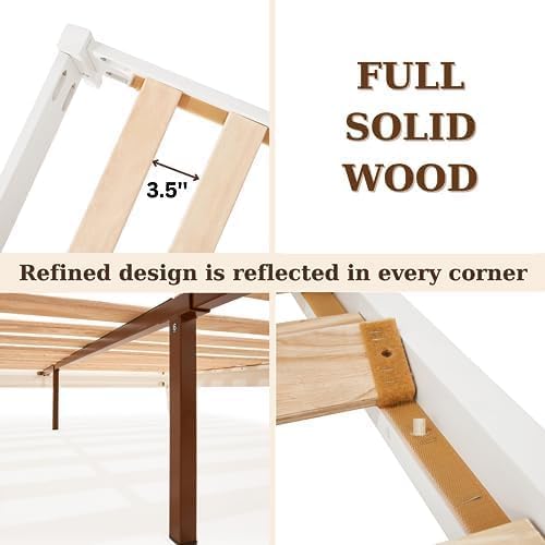 Dinkee Basic Bed Frame Without headboard - Ivory White - Queen