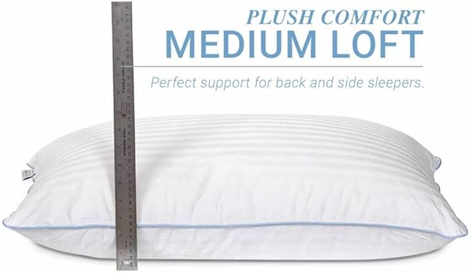 eLuxurySupply 2-Pack Premium Bed Pillows - Medium Density and Medium Loft Ideal for Back and Side Sleepers - 100% Cotton Casing - 20"X28" Standard/Queen Size