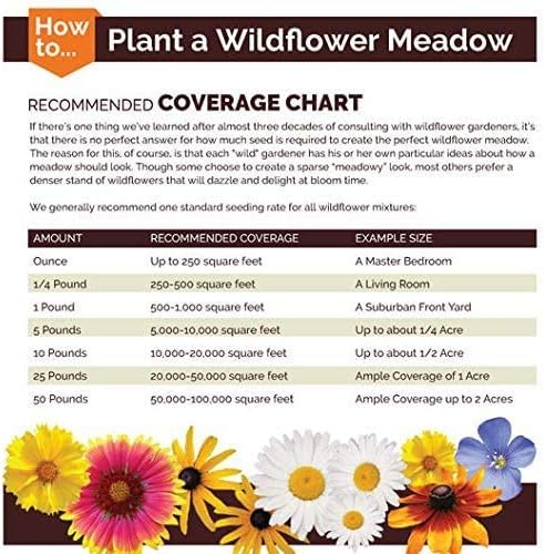 Non GMO Bulk Lupine Mix Flower Seed 7 Species of Wildflower Seeds (5 lbs)