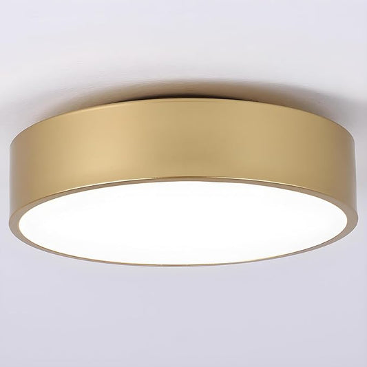 Modern Gold Flush Mount Ceiling Light, 2-Lights Round Ceiling Light, Minimalistic Ceiling Lamp Acrylic Shade Lighting Fixture for Bedroom Laundry Room Bathroom Hallway(11.8 Inch)