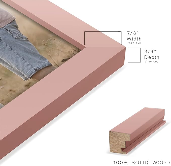 Renditions Gallery 11x14 inch Picture Frame High-end Modern Style, Made of Solid Wood and High Definition Glass Ready for Wall and Tabletop Photo Display, Pink Frame